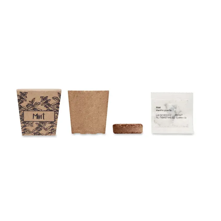 Mint seeds growing kit - MO2410 (MOCN#13)